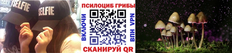 KRAKEN вход  Цивильск  Галлюциногенные грибы Psilocybine cubensis 